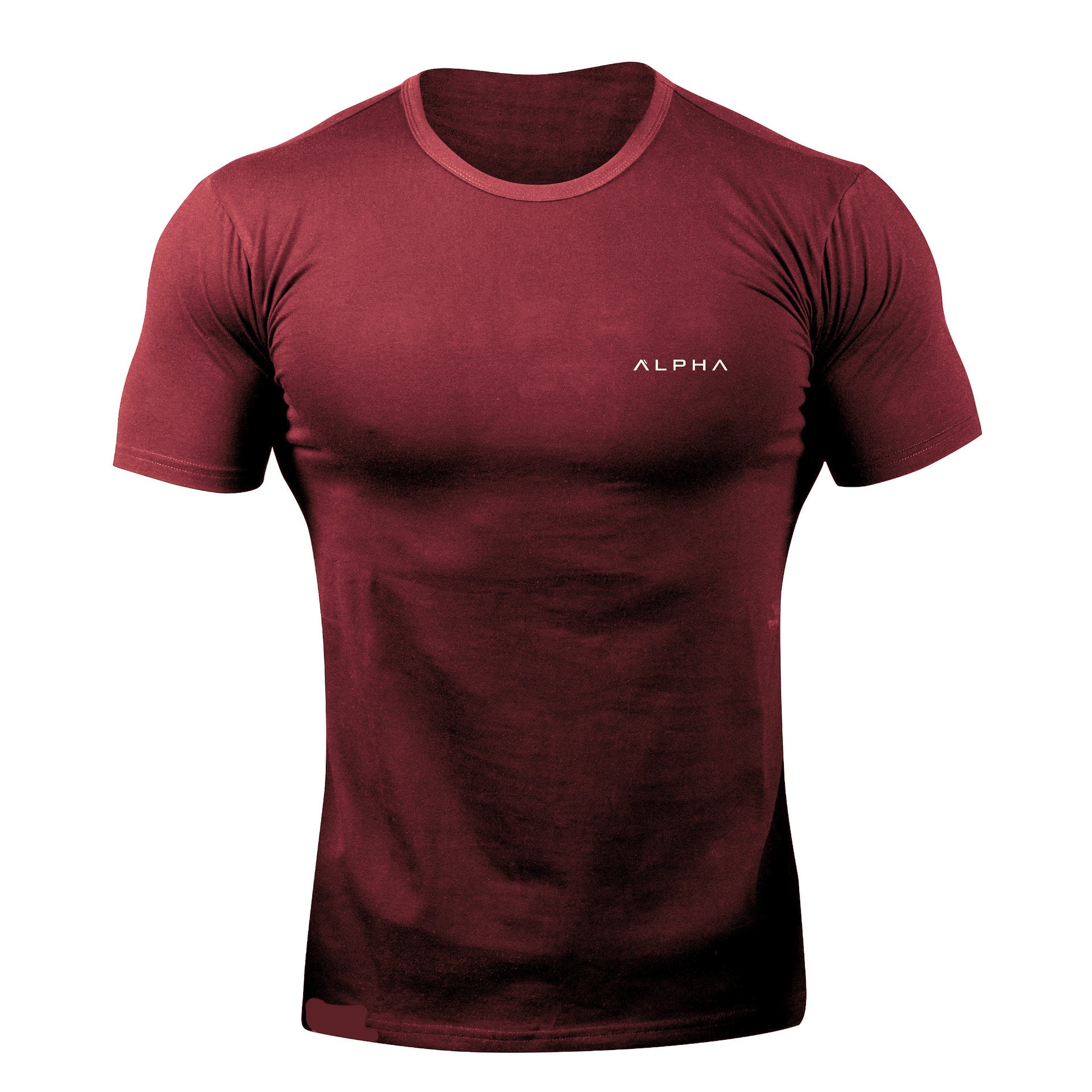 Fitness Short Sleeve Workout T-Shirt for Men, High Elasticity, Quick-Dry Training Gym Shirt